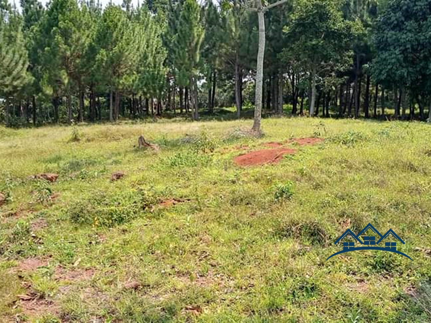 Commercial Land for sale in Kiyinda Buyikwe