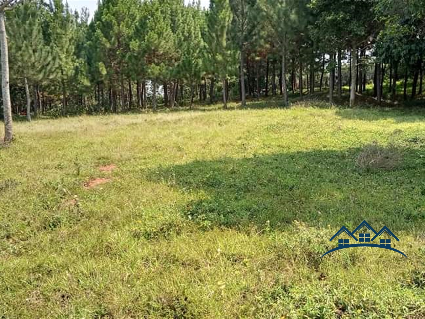 Commercial Land for sale in Kiyinda Buyikwe