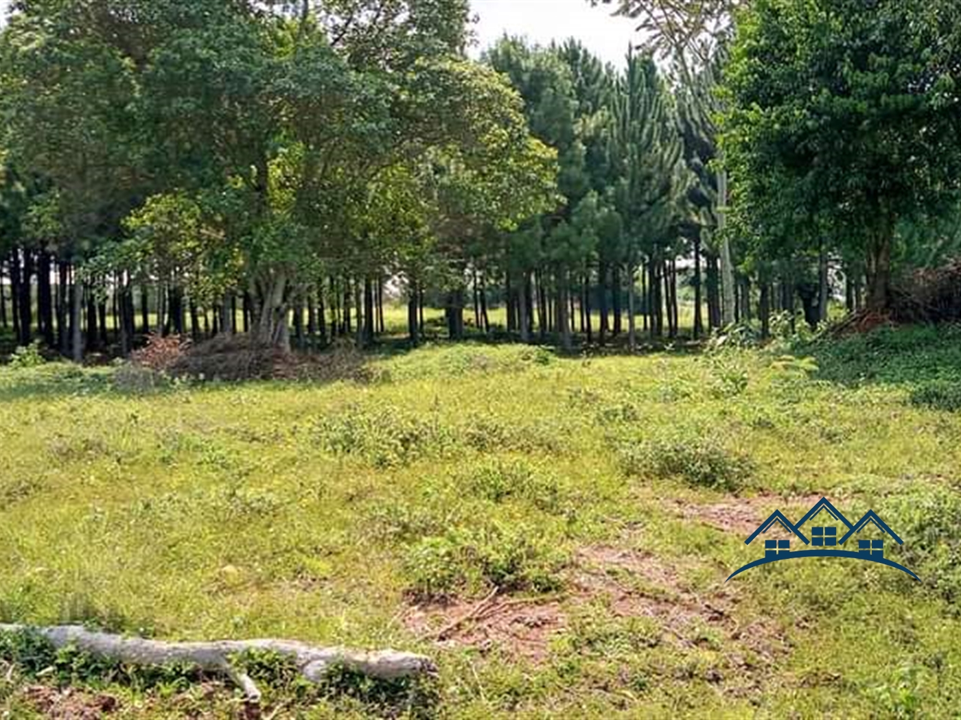 Commercial Land for sale in Kiyinda Buyikwe