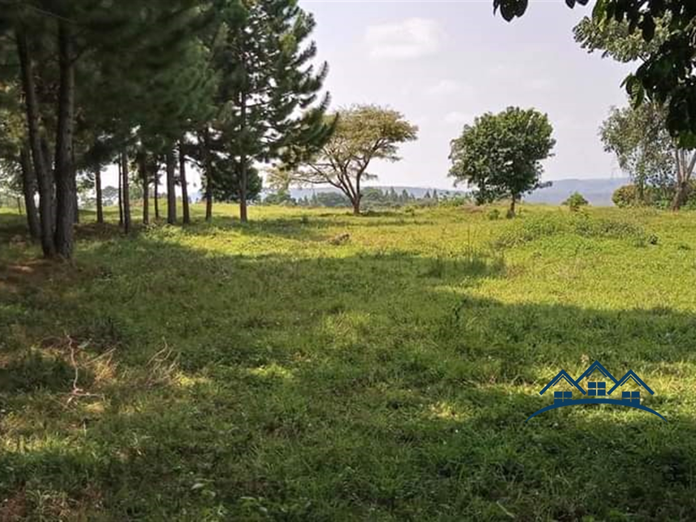 Commercial Land for sale in Kiyinda Buyikwe