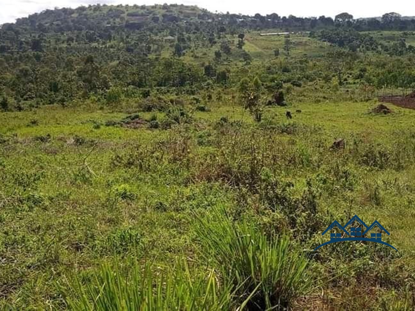 Agricultural Land for sale in Katente Mpigi