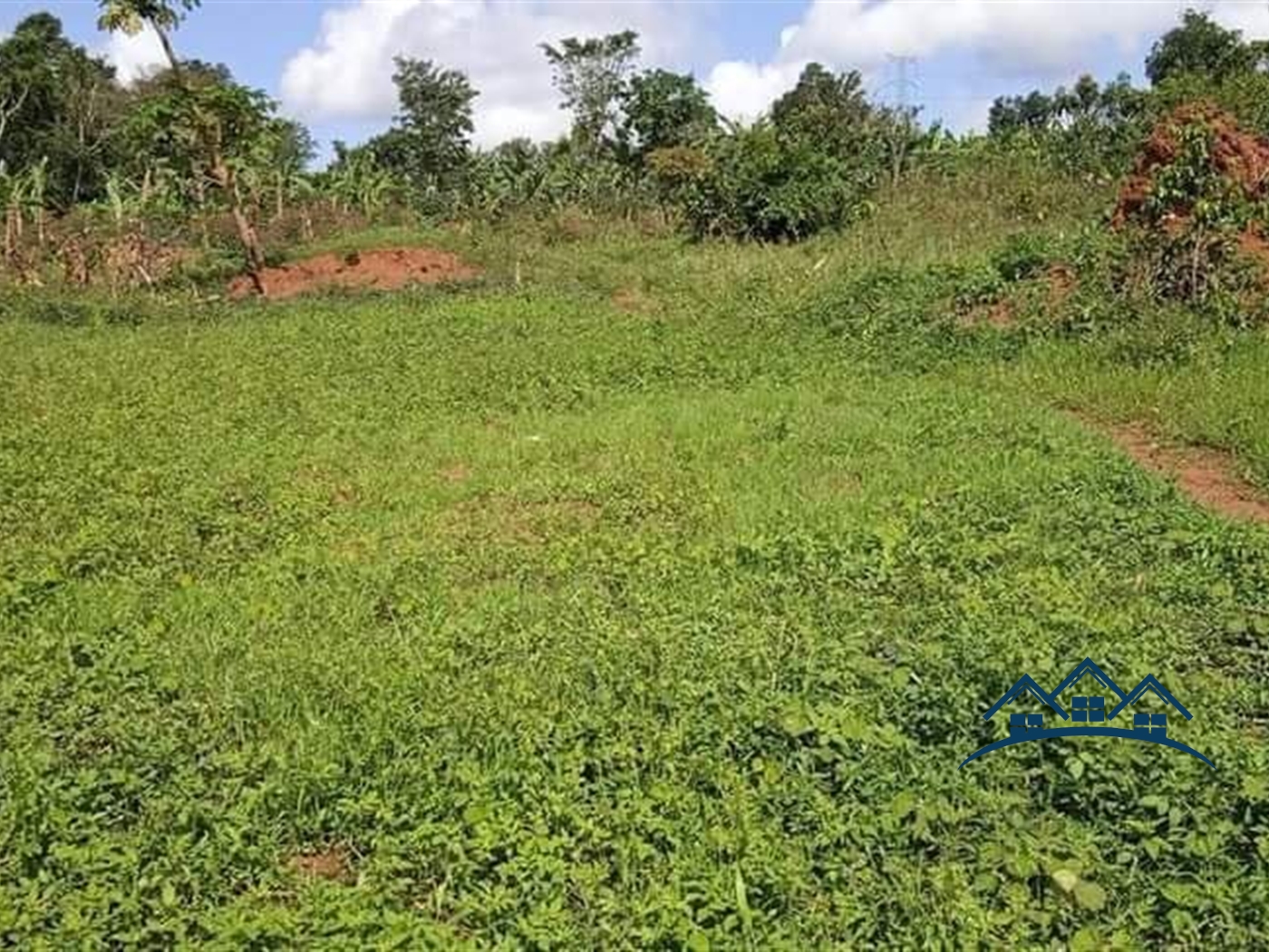 Agricultural Land for sale in Katente Mpigi