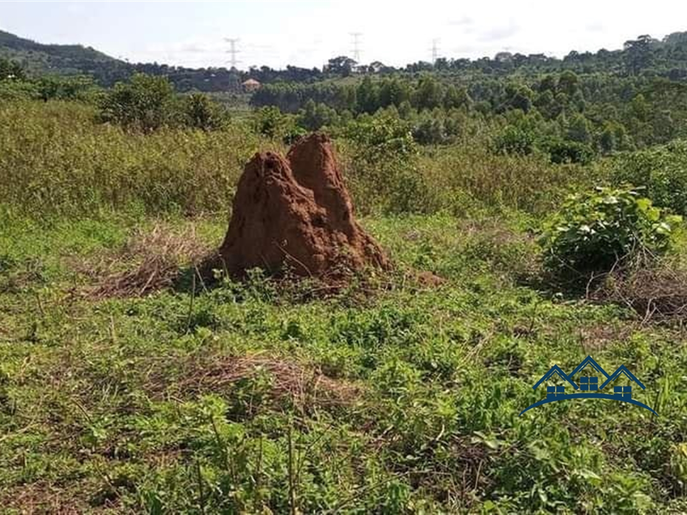 Agricultural Land for sale in Katente Mpigi