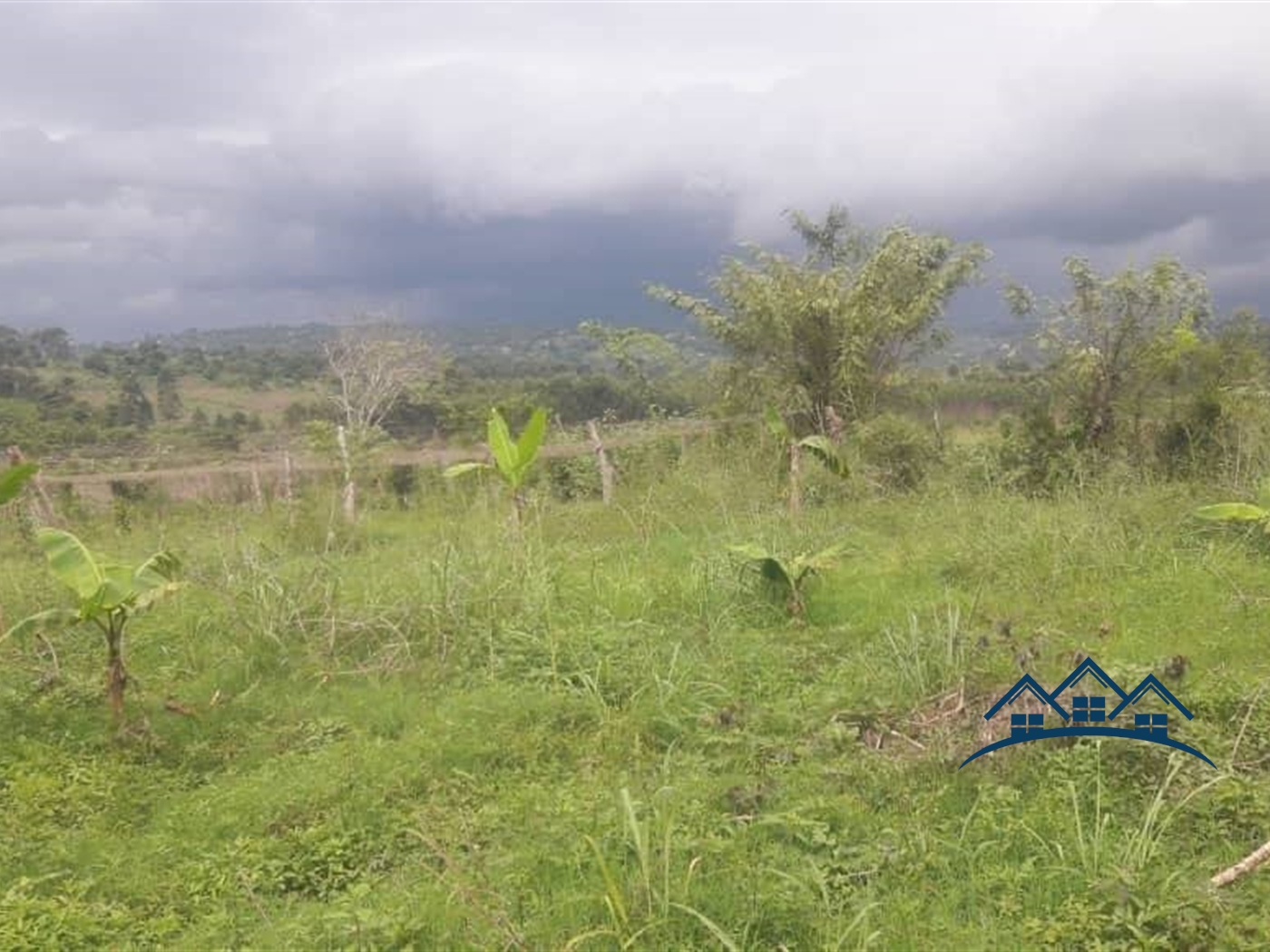 Agricultural Land for sale in Kikonge Mityana