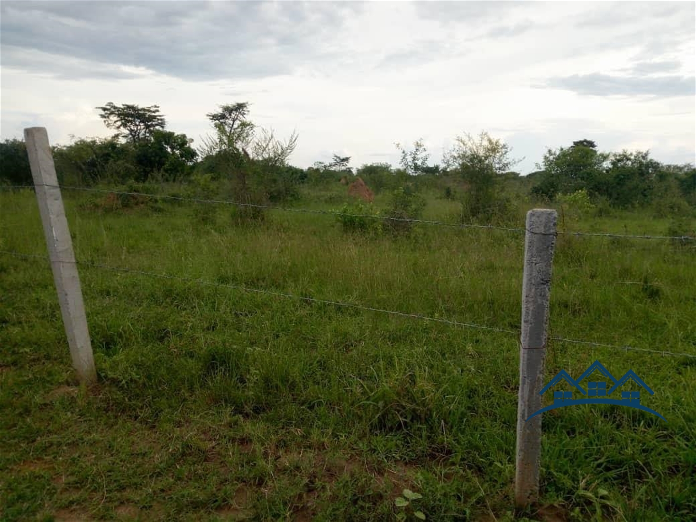 Agricultural Land for sale in Kazawama Nakasongola