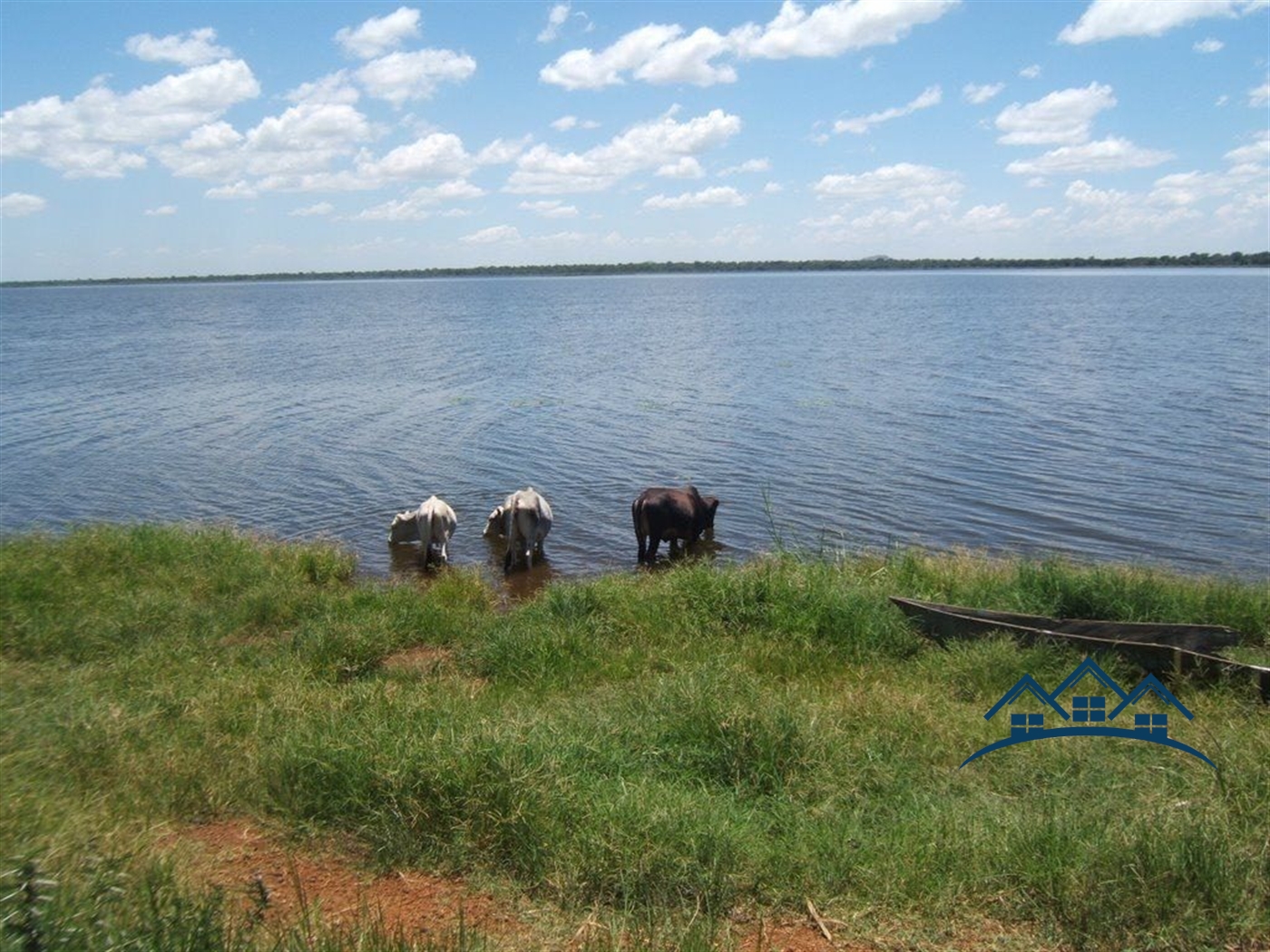 Agricultural Land for sale in Kazawama Nakasongola