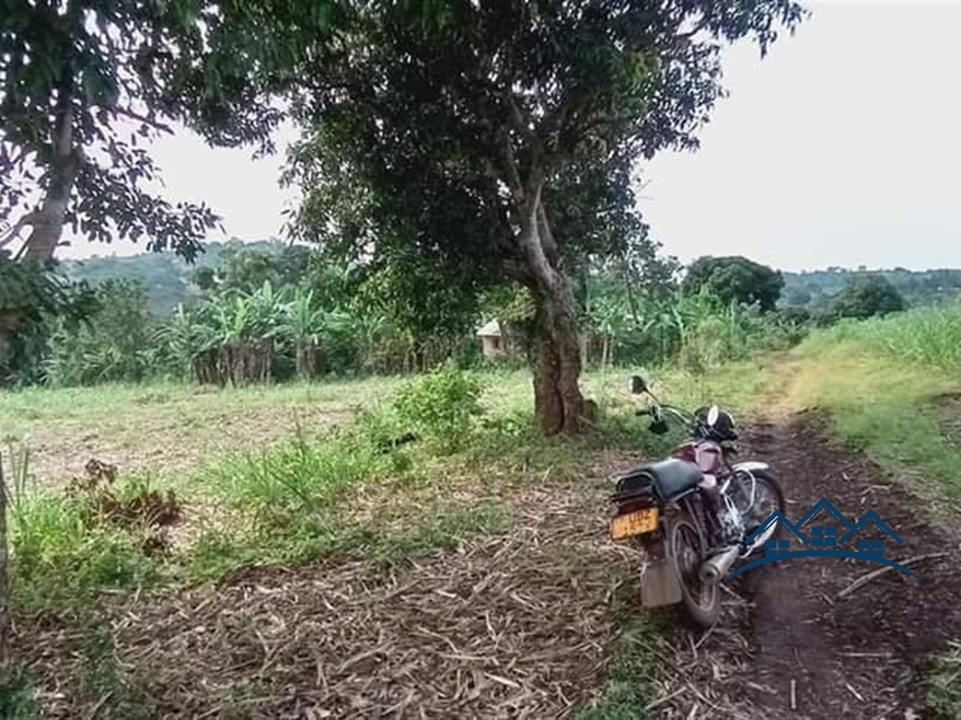 Agricultural Land for sale in Ngogwe Mukono