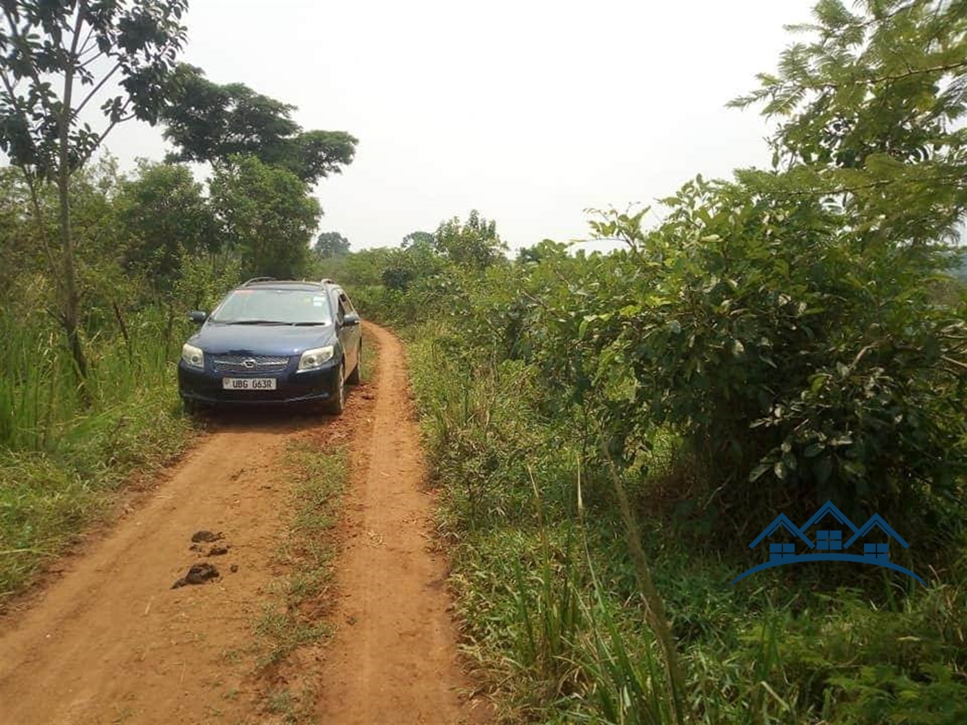 Agricultural Land for sale in Kabunyata Luweero