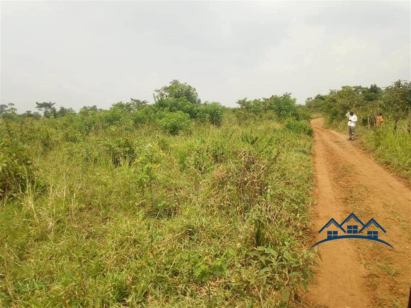 Agricultural Land for sale in Kabunyata Luweero