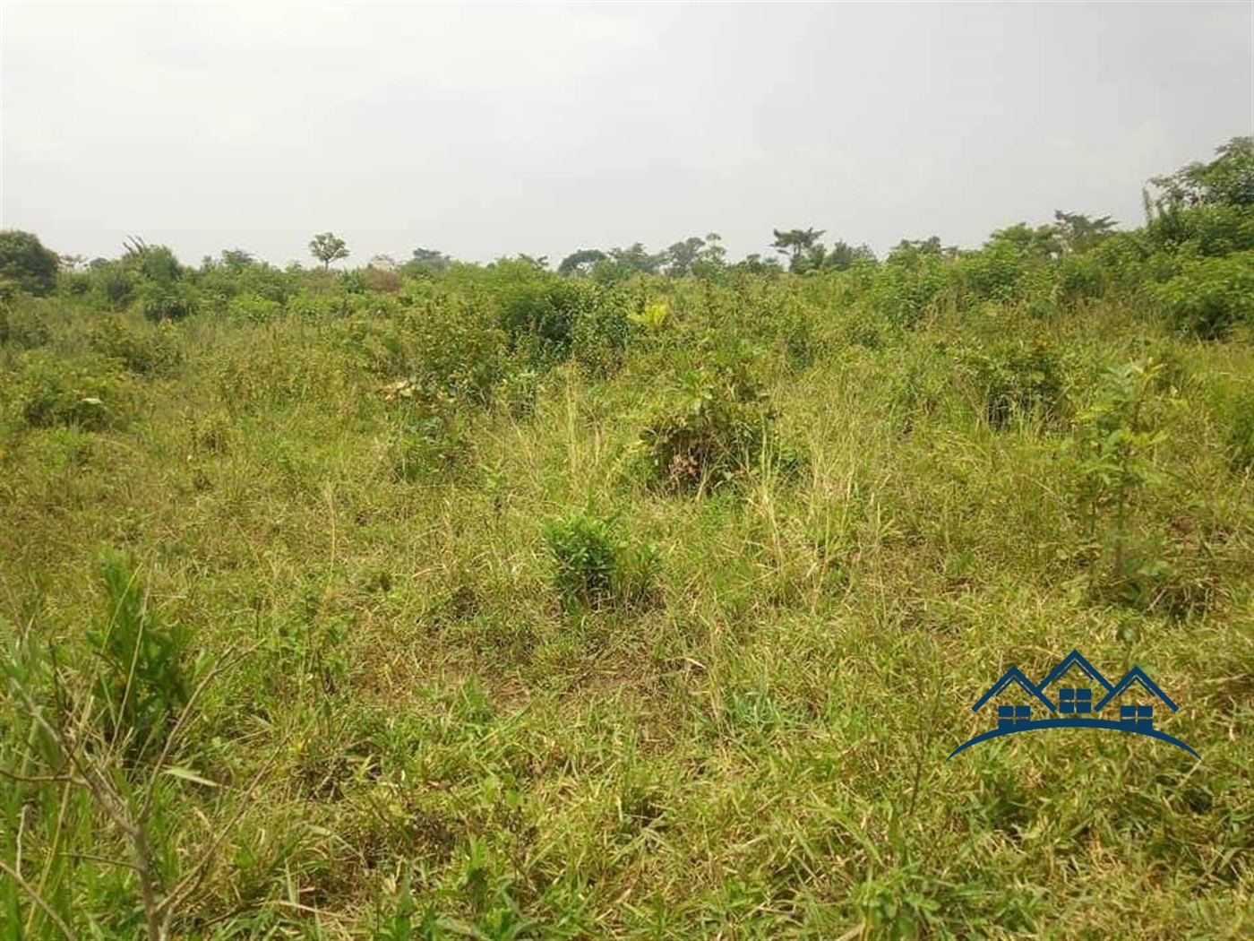 Agricultural Land for sale in Kabunyata Luweero