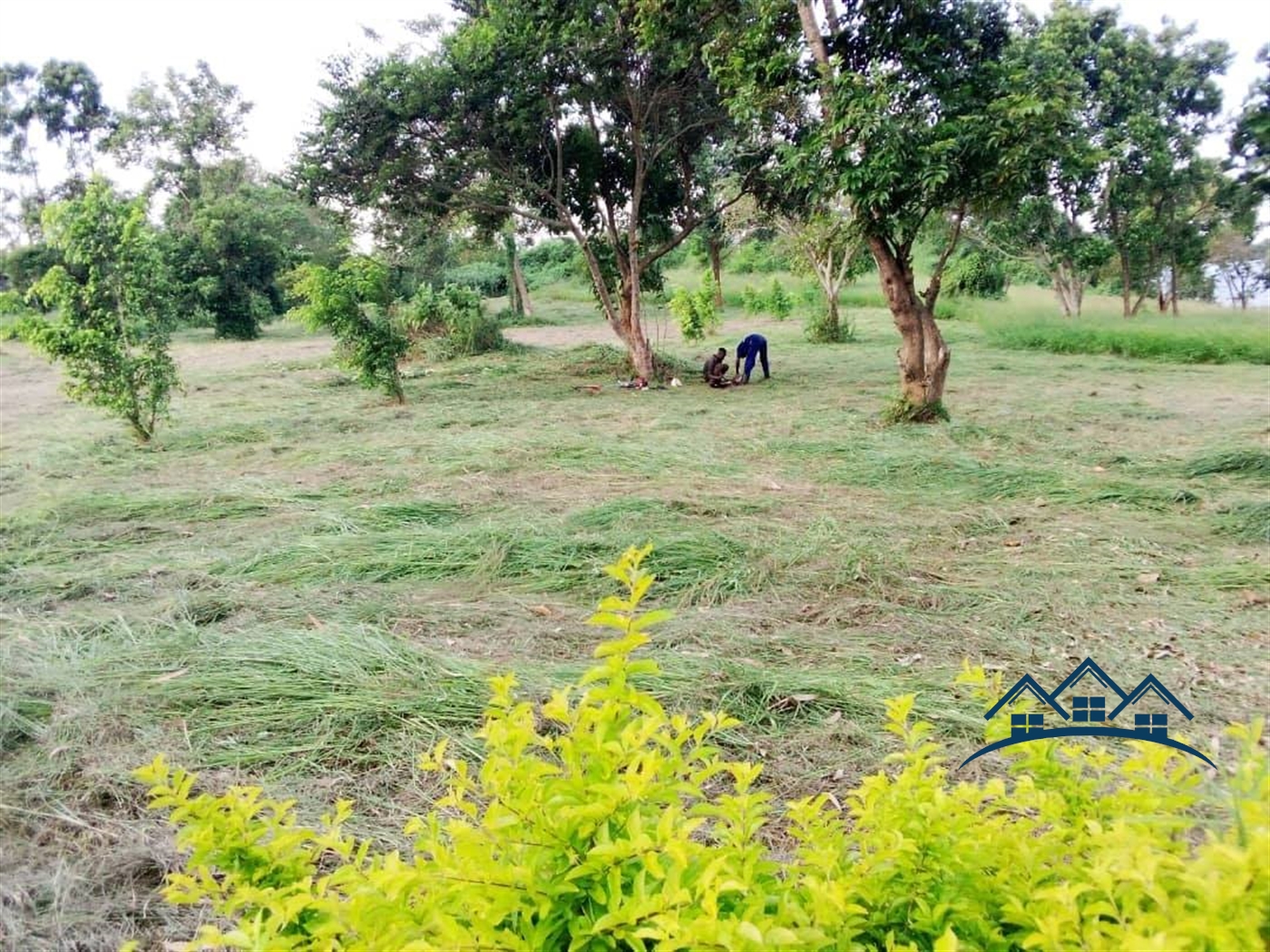 Agricultural Land for sale in Kamengo Masaka