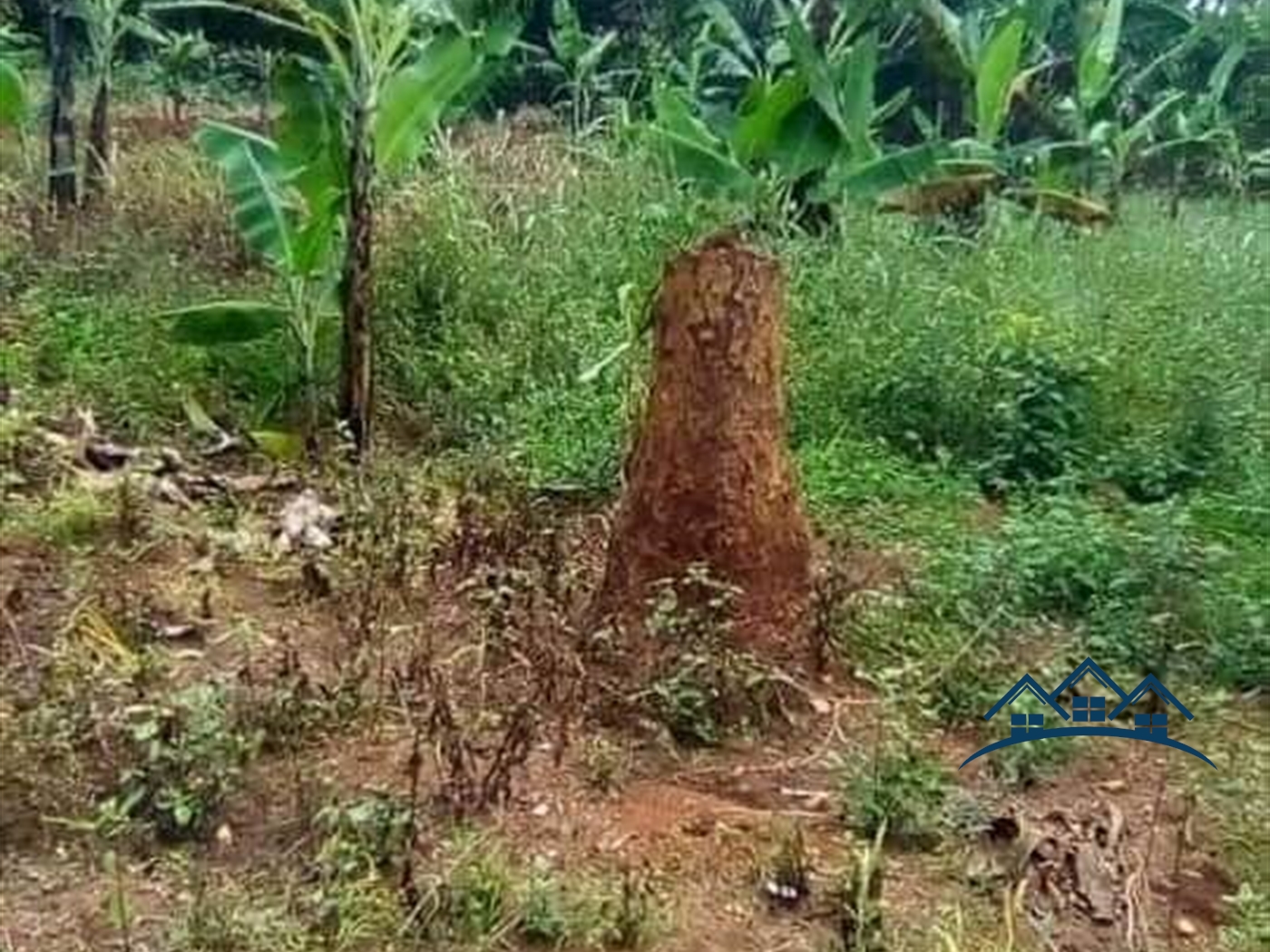 Agricultural Land for sale in Wobulenzi Nakaseke