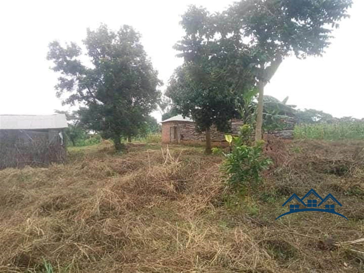 Agricultural Land for sale in Wobulenzi Luweero