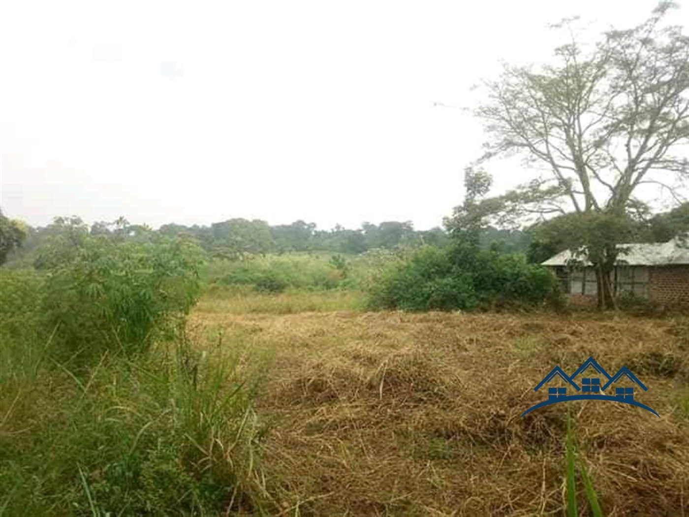 Agricultural Land for sale in Wobulenzi Luweero