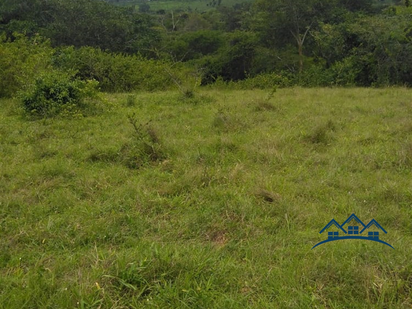 Multipurpose Land for sale in Ggomba Butambala