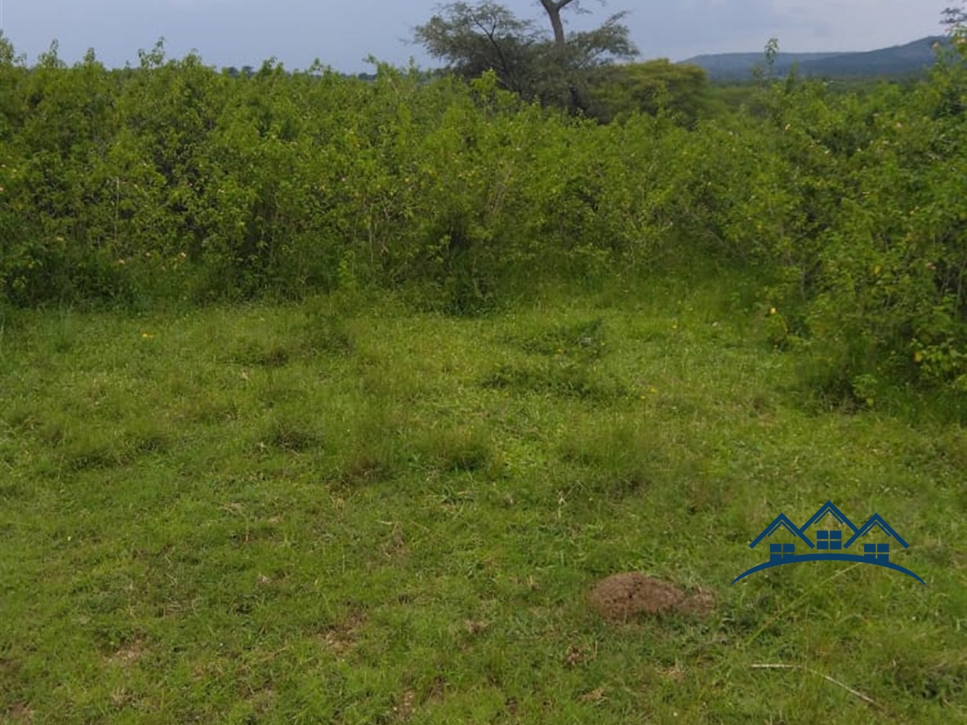 Multipurpose Land for sale in Ggomba Butambala