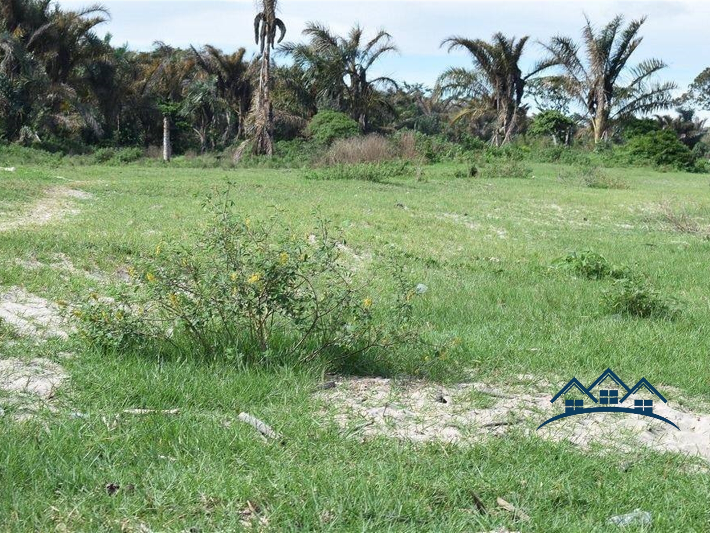 Agricultural Land for sale in Kaliisizo Masaka