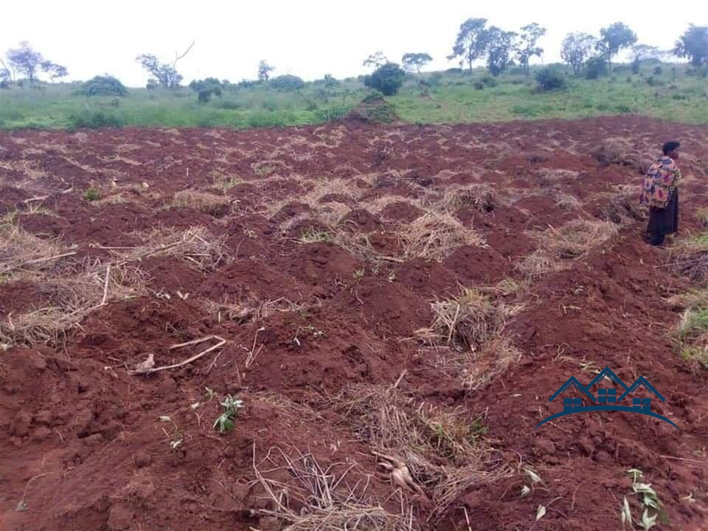 Agricultural Land for sale in Kalonga Mubende