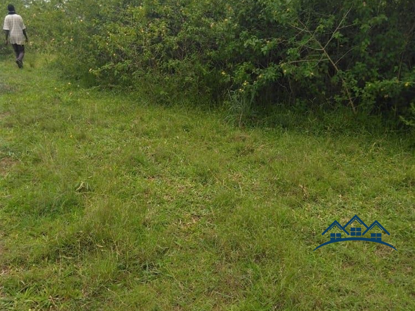 Agricultural Land for sale in Gomba Luweero