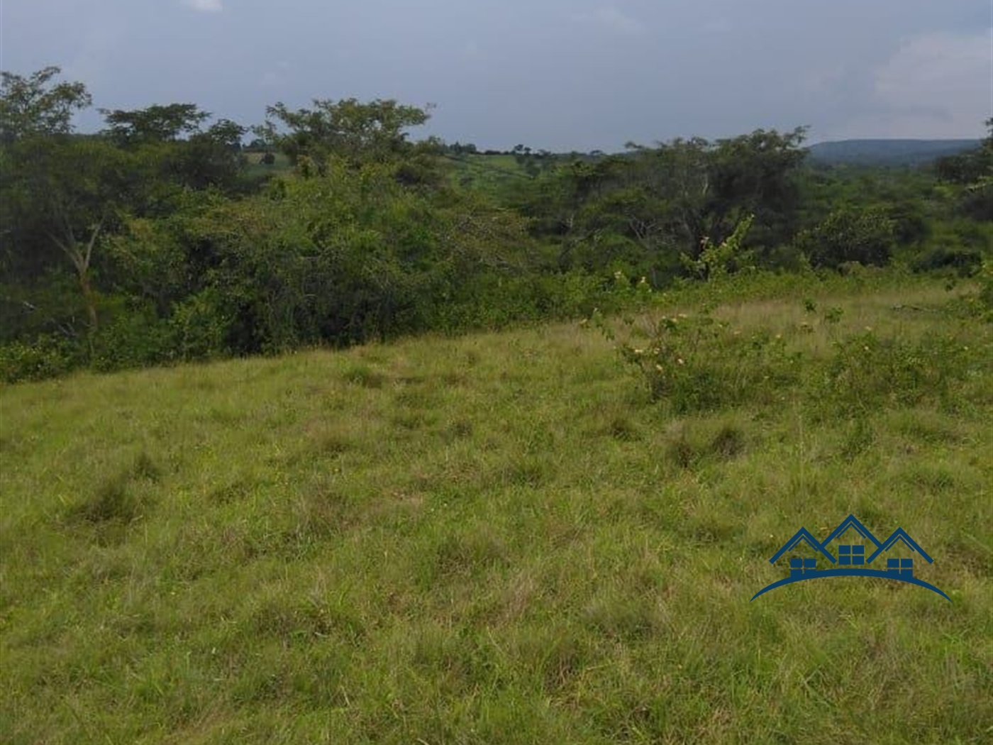 Agricultural Land for sale in Gomba Luweero