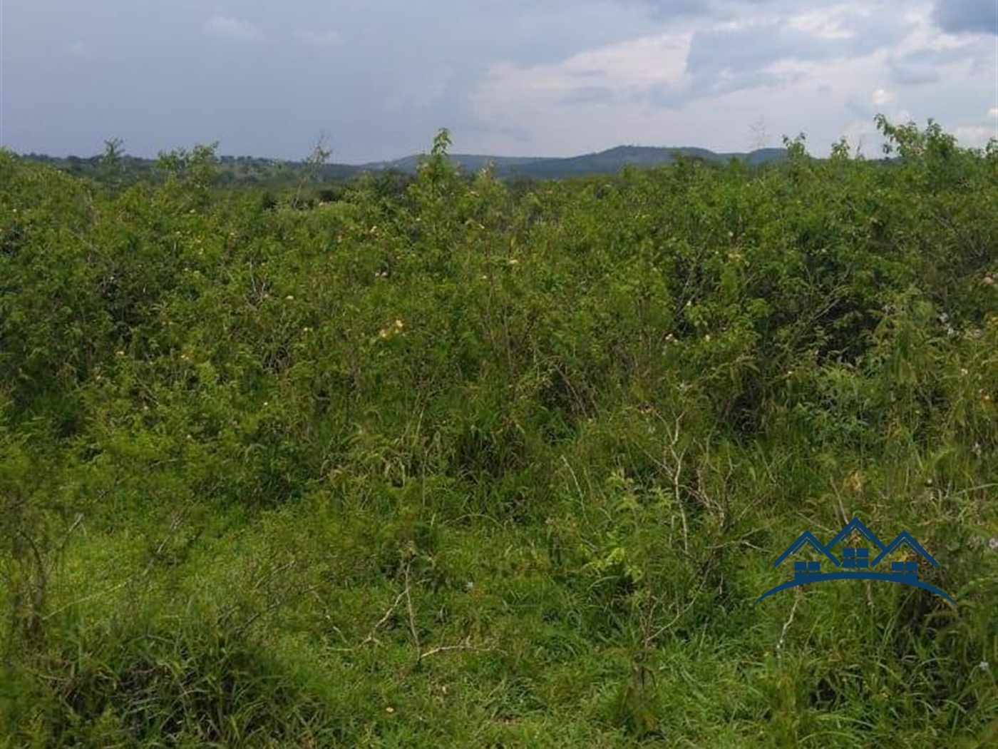 Agricultural Land for sale in Gomba Luweero