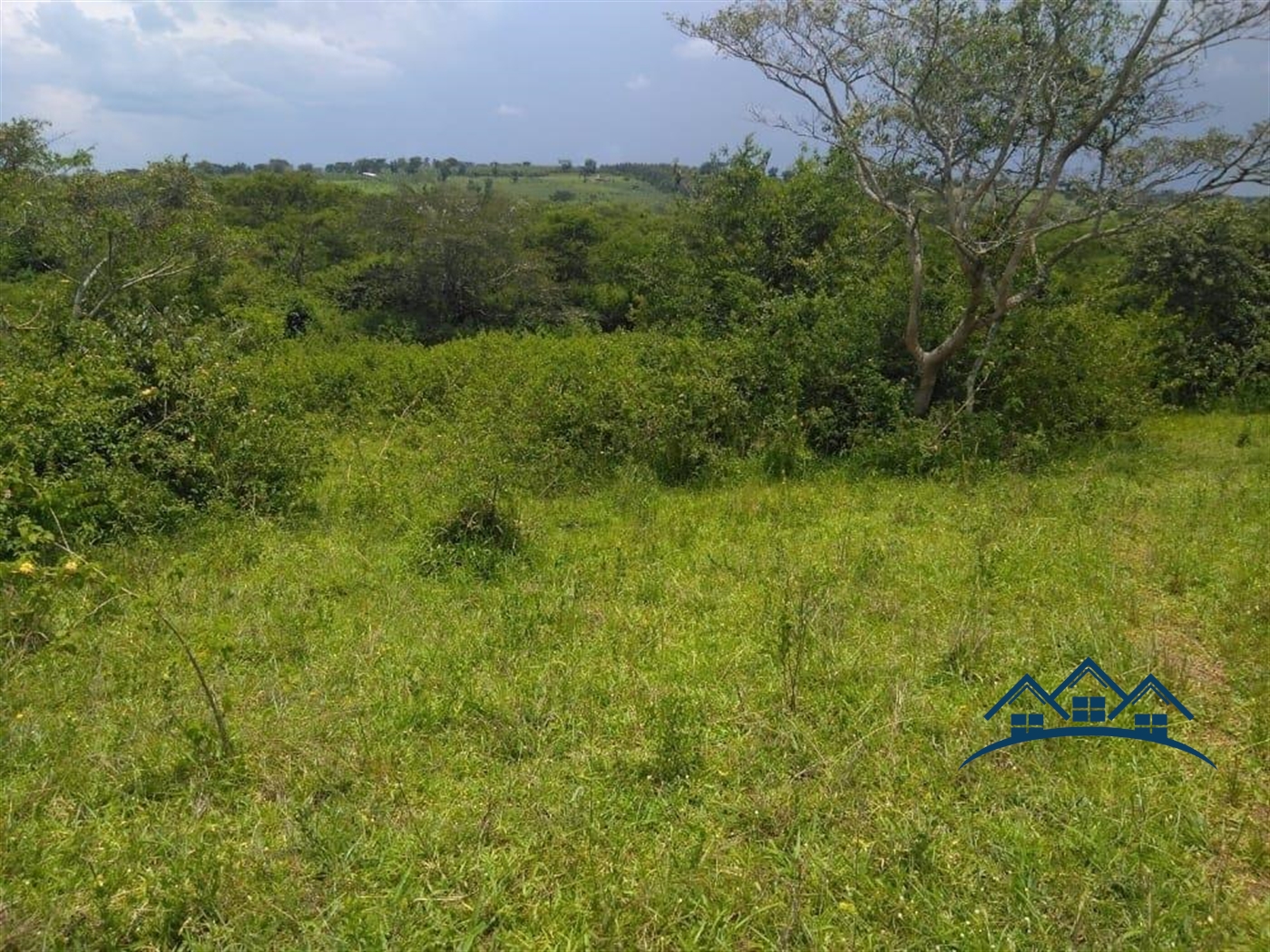 Agricultural Land for sale in Gomba Luweero