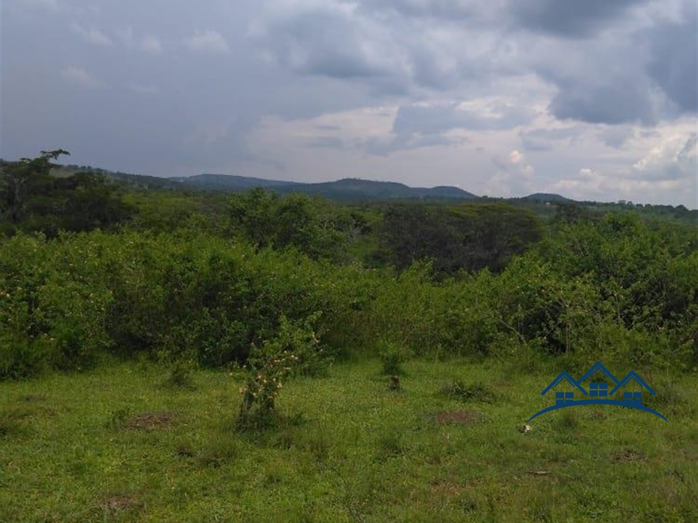 Agricultural Land for sale in Gomba Luweero