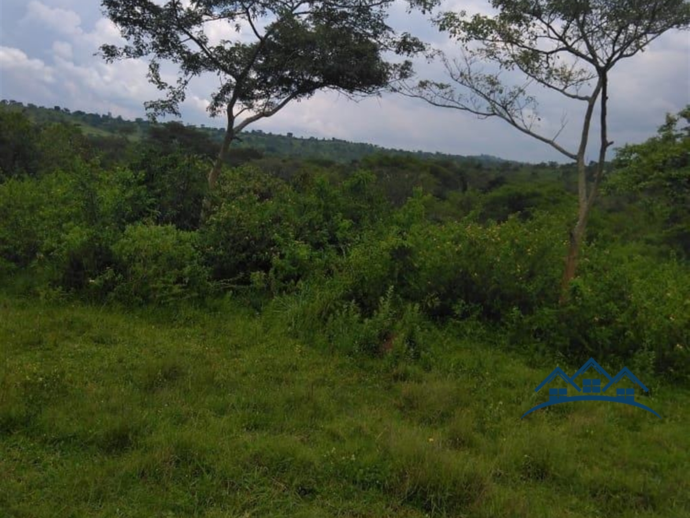 Agricultural Land for sale in Gomba Luweero