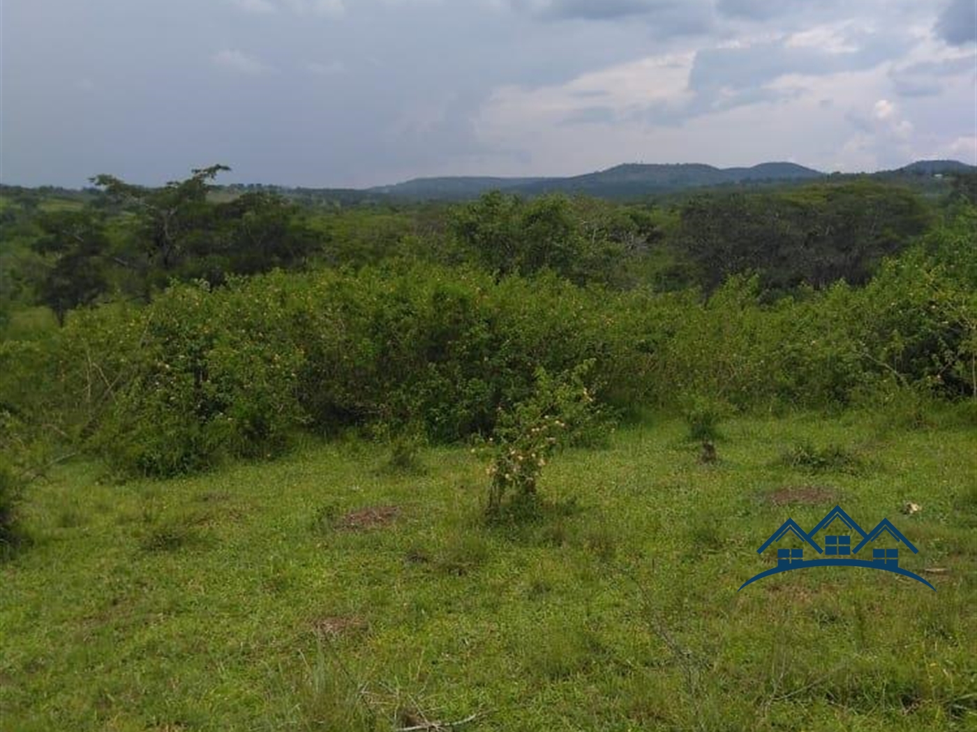 Agricultural Land for sale in Gomba Luweero