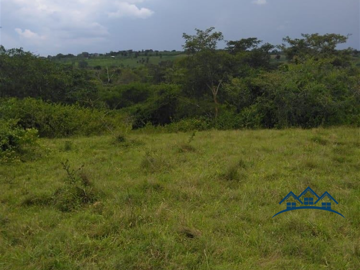 Agricultural Land for sale in Gomba Luweero