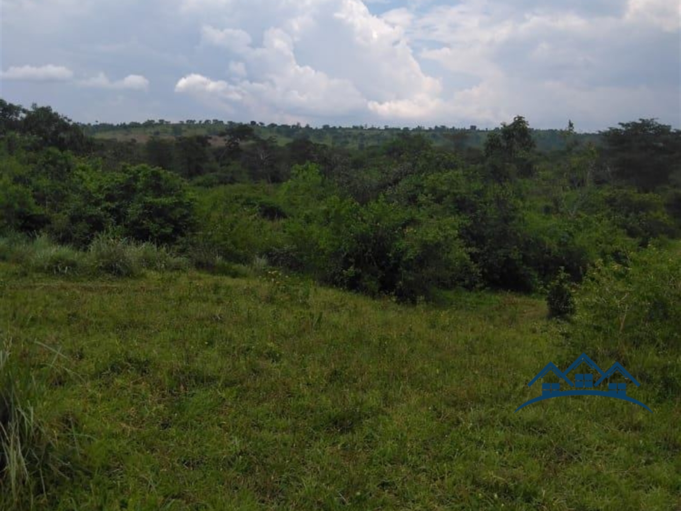 Agricultural Land for sale in Gomba Luweero