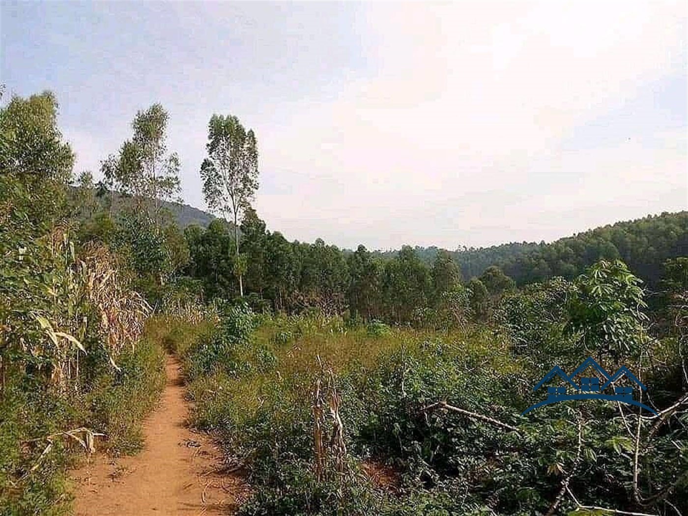 Agricultural Land for sale in Kijura Kibaale