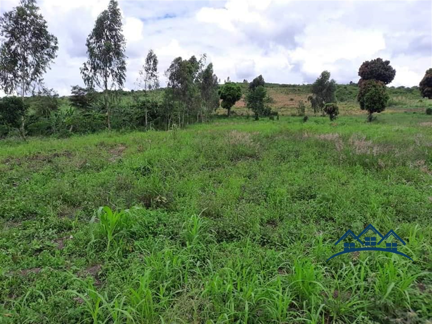 Agricultural Land for sale in Busunjju Wakiso