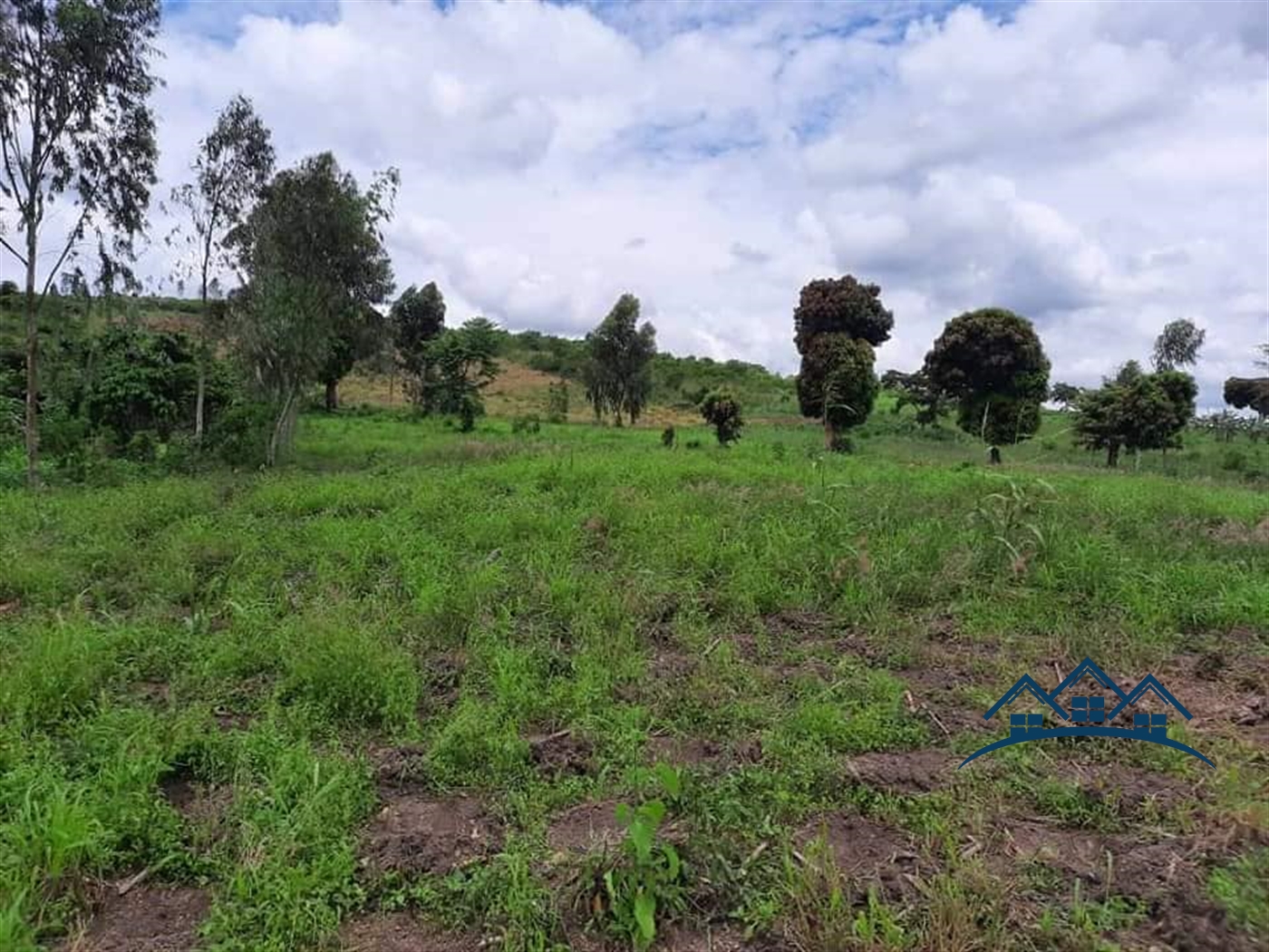 Agricultural Land for sale in Busunjju Wakiso