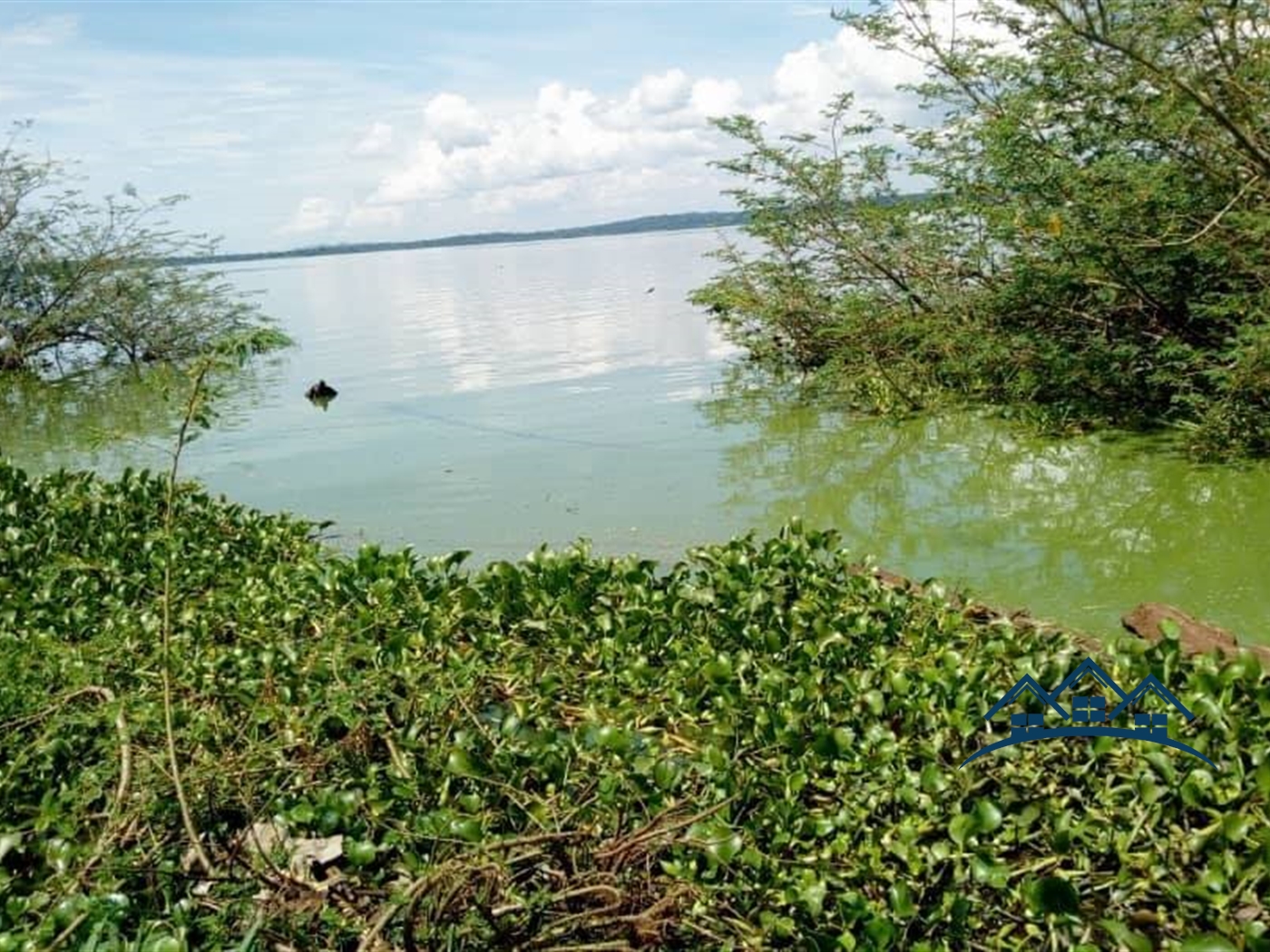 Agricultural Land for sale in Nkokonjeru Mukono