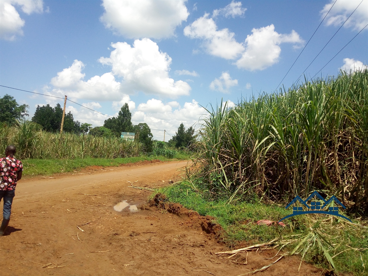 Multipurpose Land for sale in Kisozi Kamuli