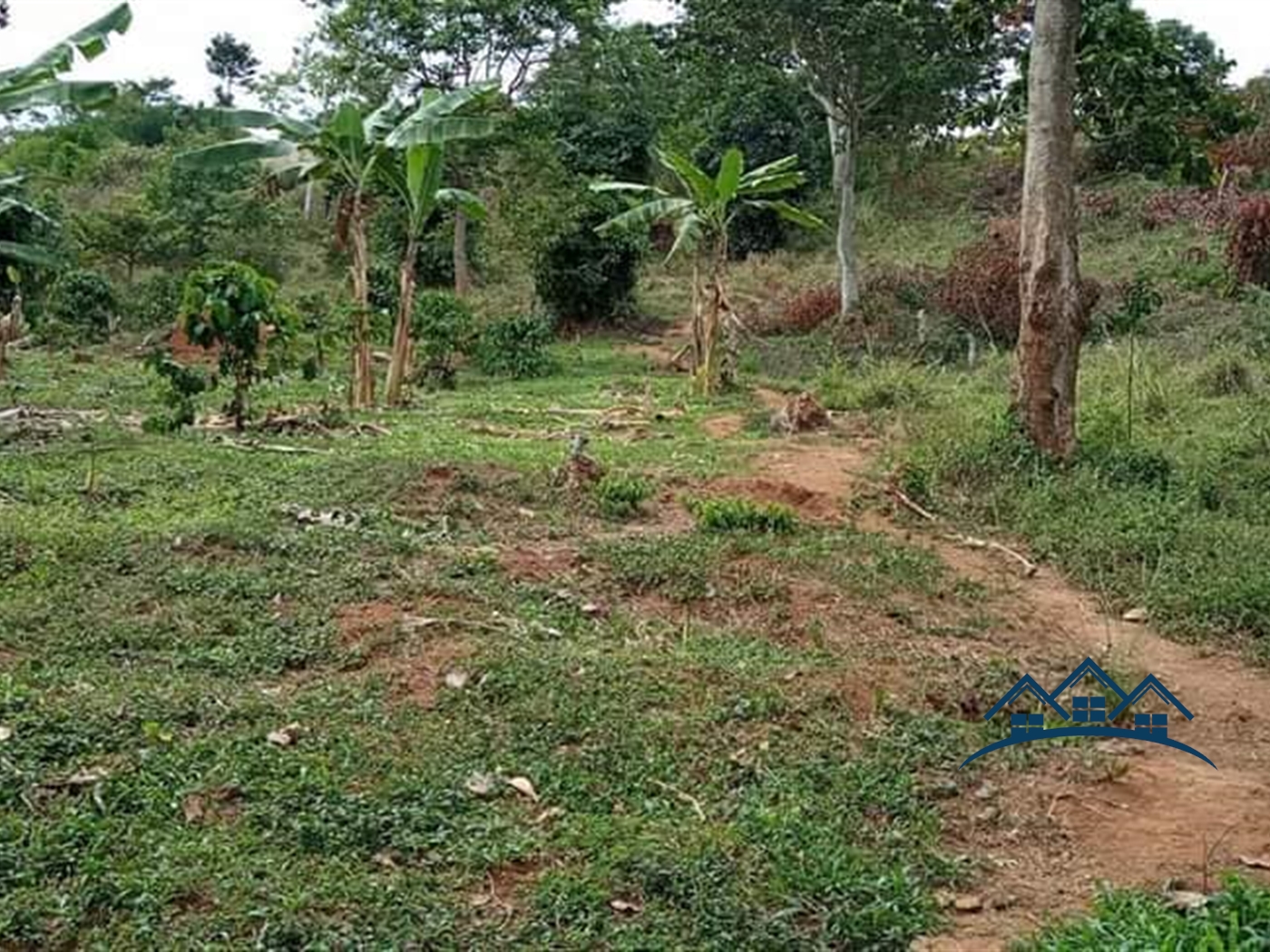 Agricultural Land for sale in Nkokonjeru Buyikwe