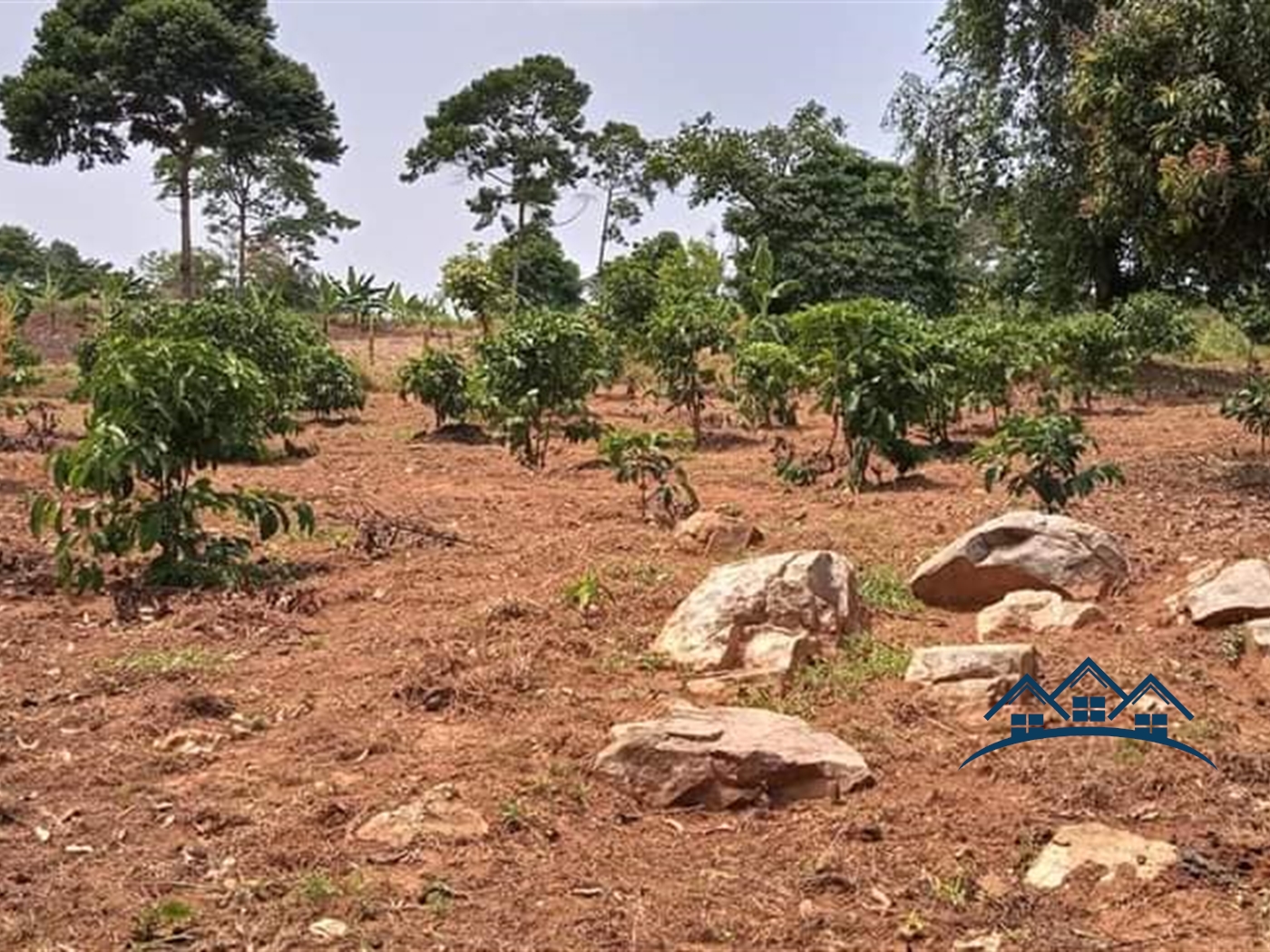 Agricultural Land for sale in Nkokonjeru Buyikwe