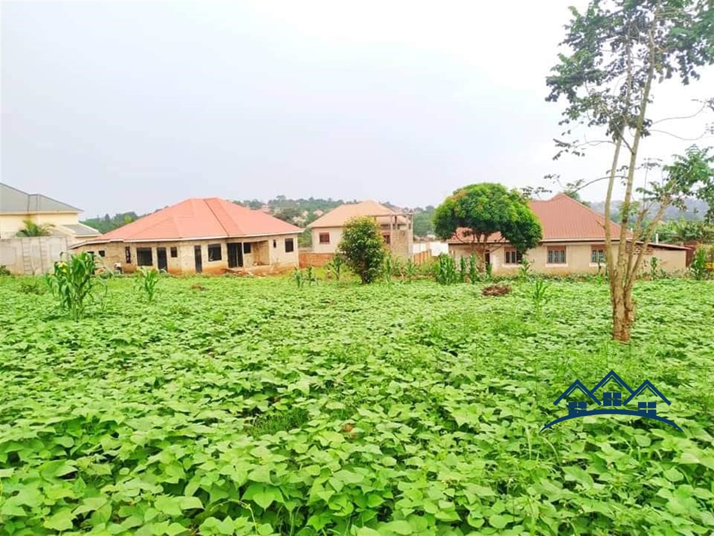 Residential Land for sale in Namuwongo Wakiso