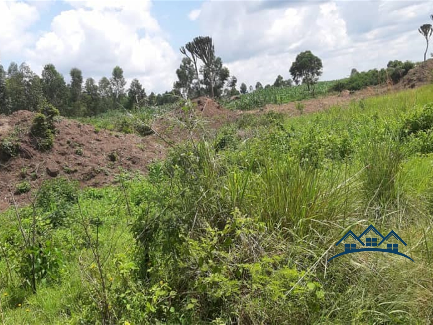 Agricultural Land for sale in Wakyato Nakaseke