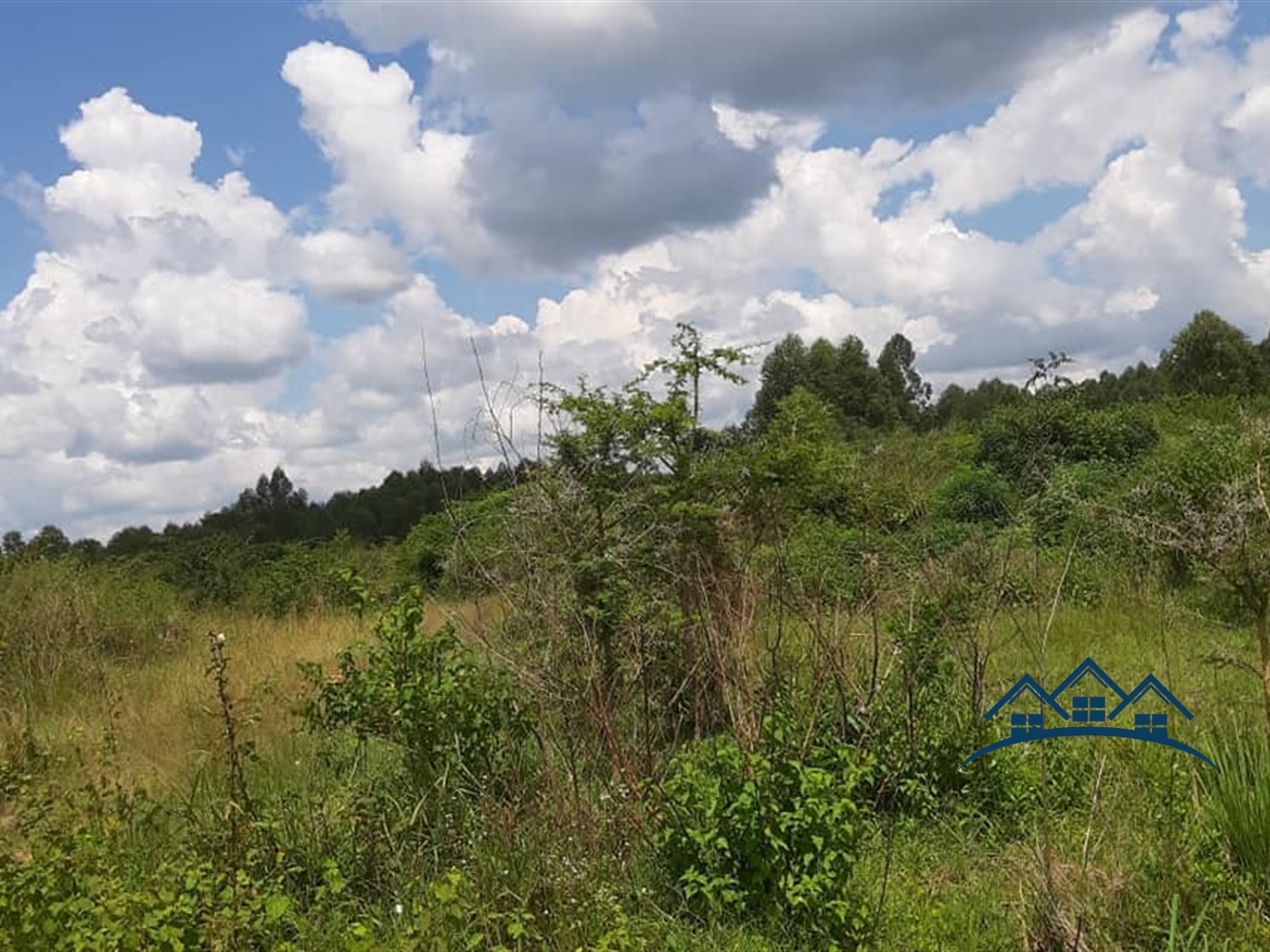 Agricultural Land for sale in Wakyato Nakaseke