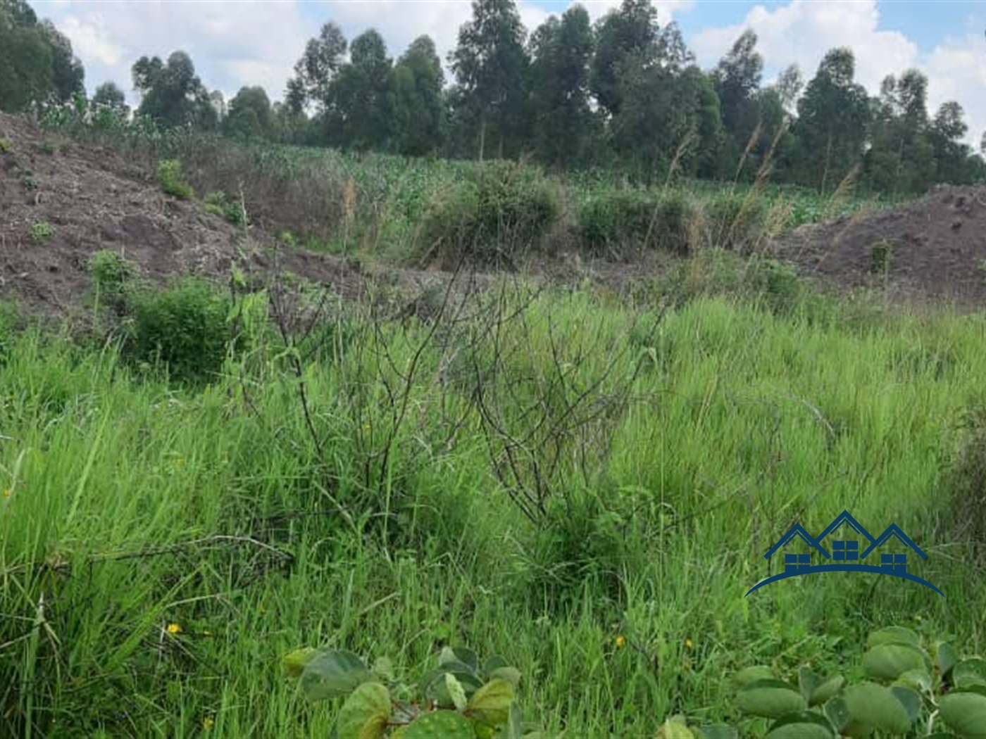 Agricultural Land for sale in Wakyato Nakaseke