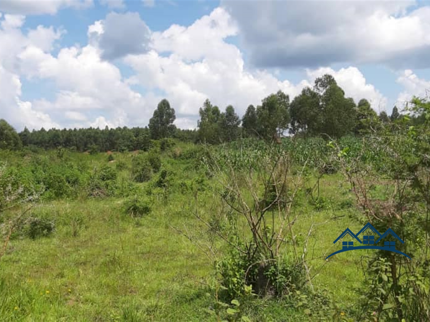 Agricultural Land for sale in Wakyato Nakaseke