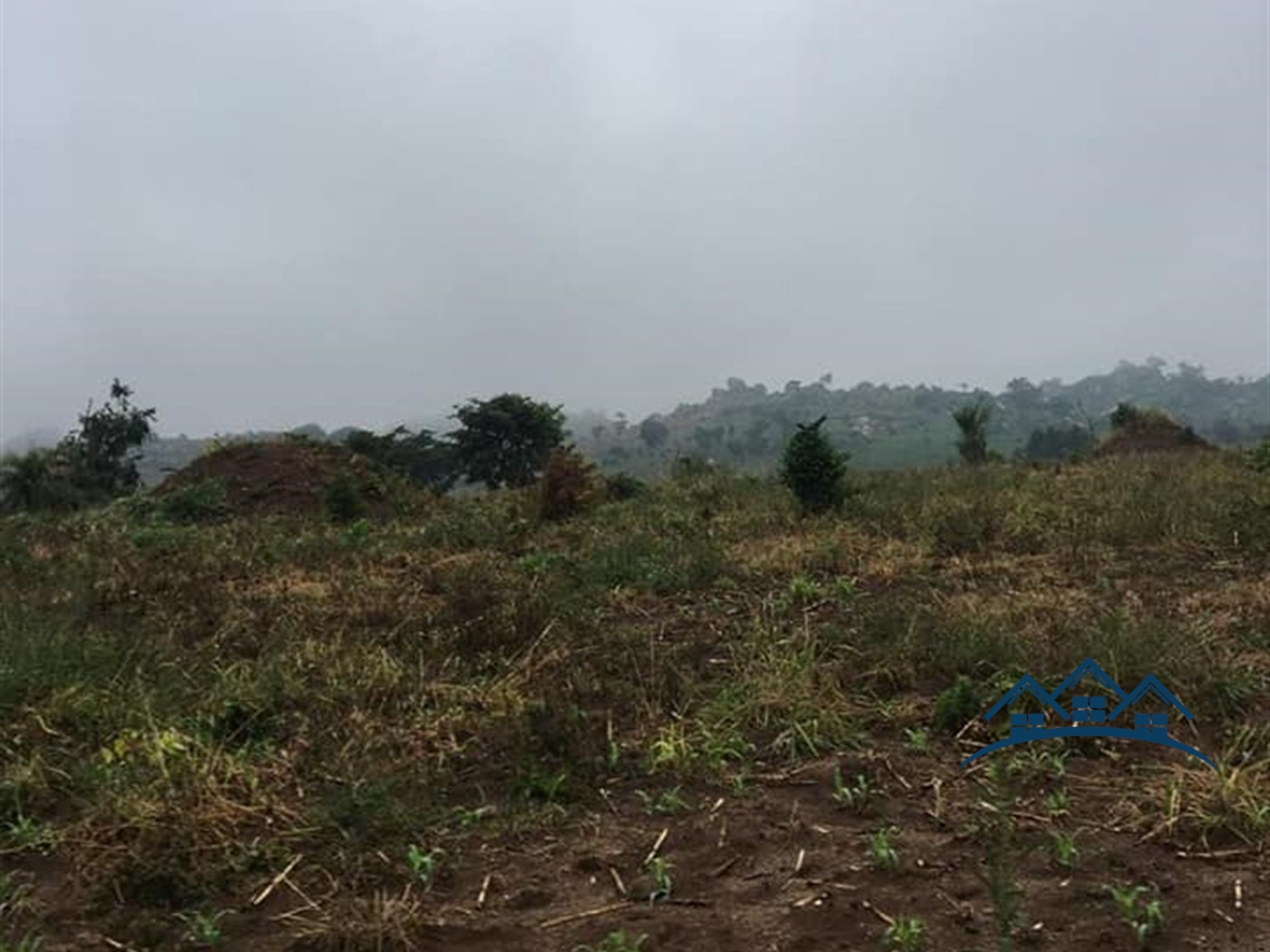 Agricultural Land for sale in Kakumilo Mubende