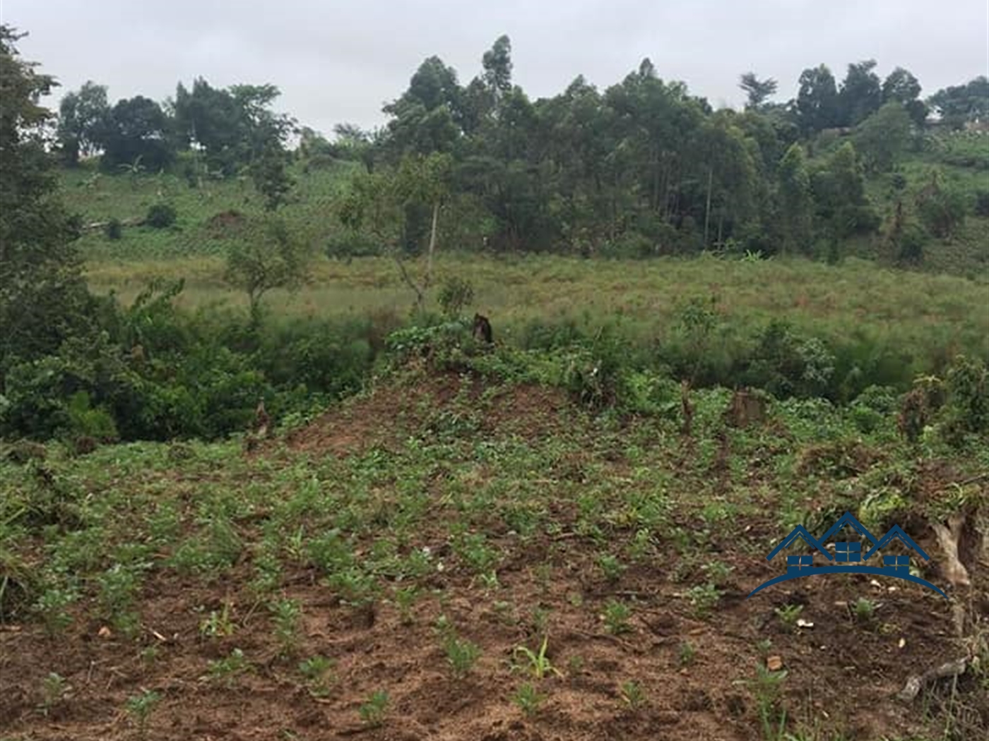 Agricultural Land for sale in Kakumilo Mubende