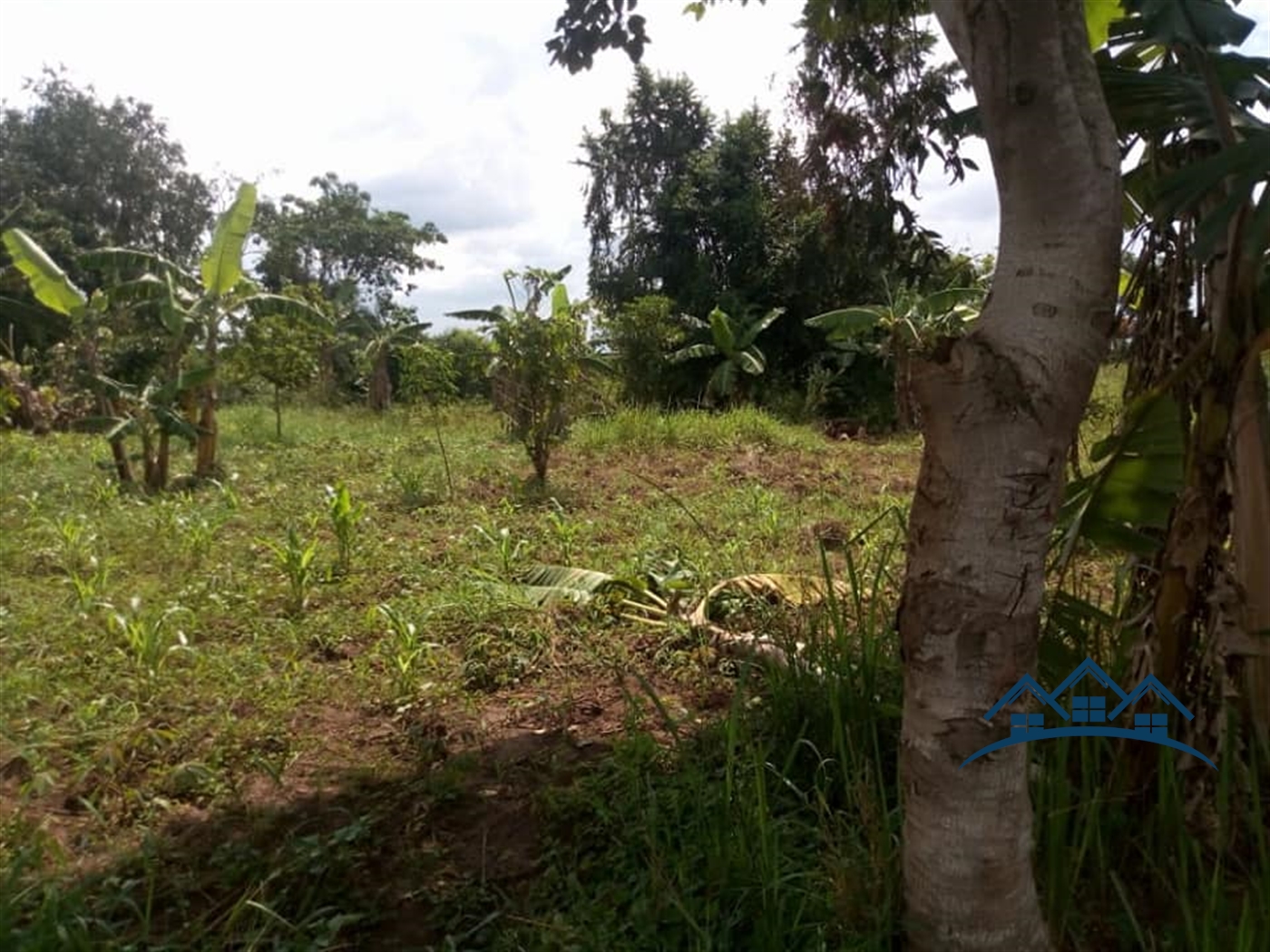 Agricultural Land for sale in Vumbe Wakiso