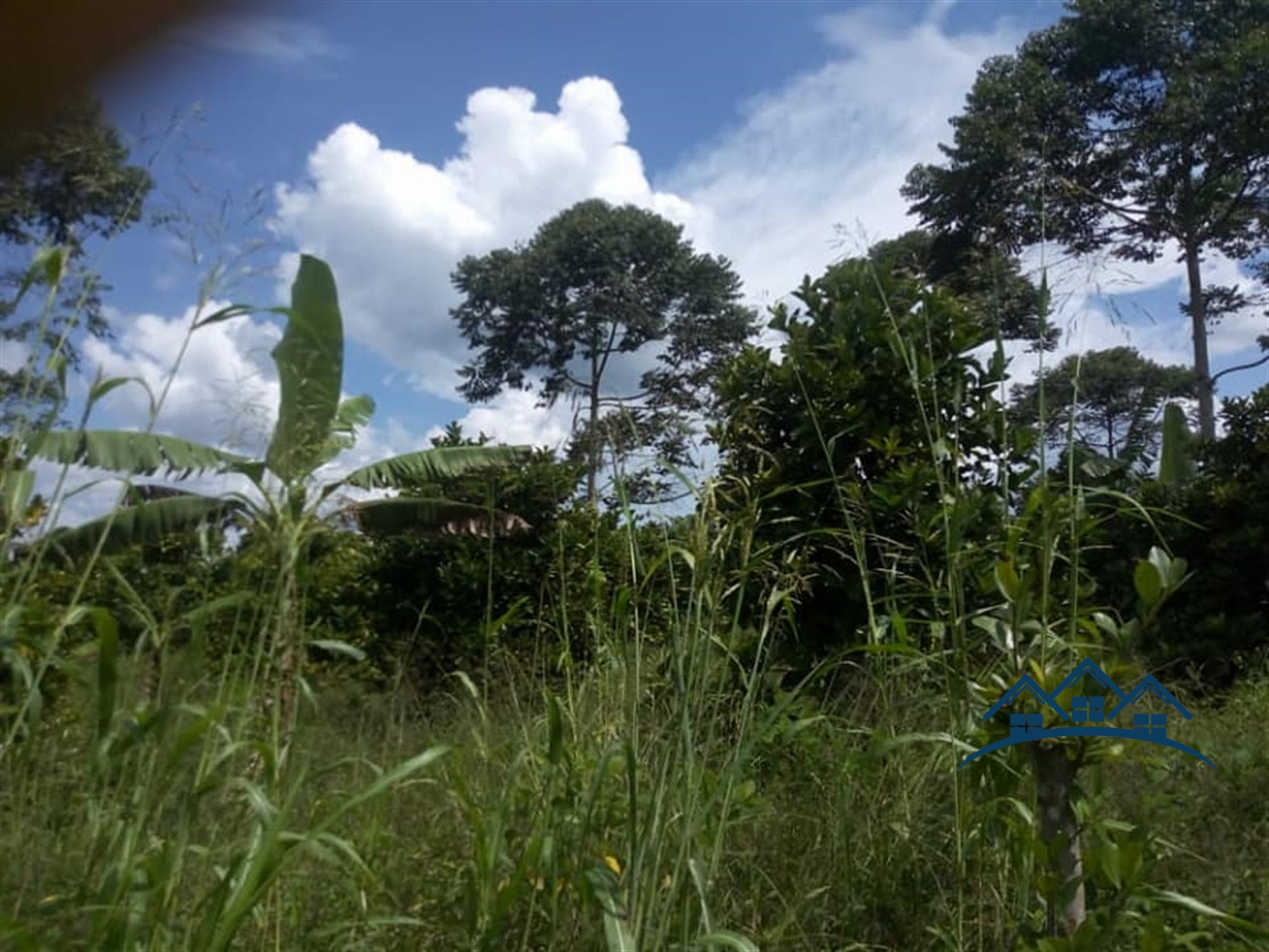 Agricultural Land for sale in Vumbe Wakiso