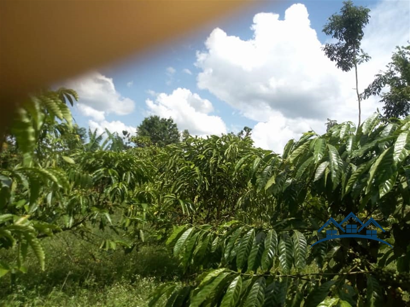 Agricultural Land for sale in Vumbe Wakiso