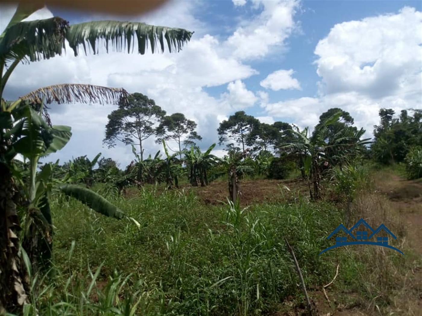 Agricultural Land for sale in Vumbe Wakiso