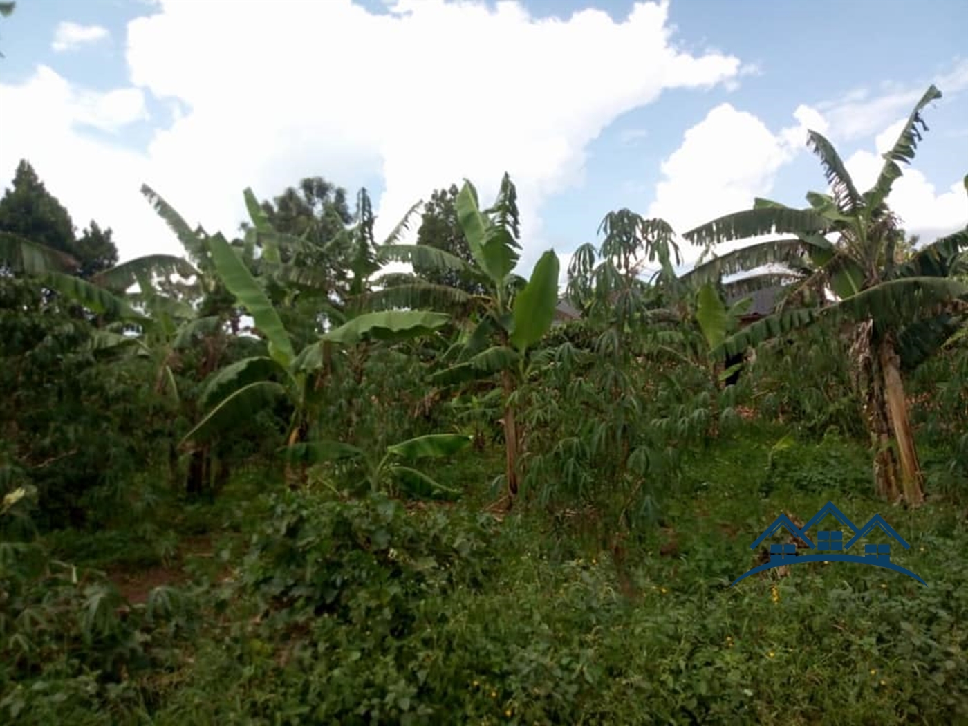 Agricultural Land for sale in Vumbe Wakiso